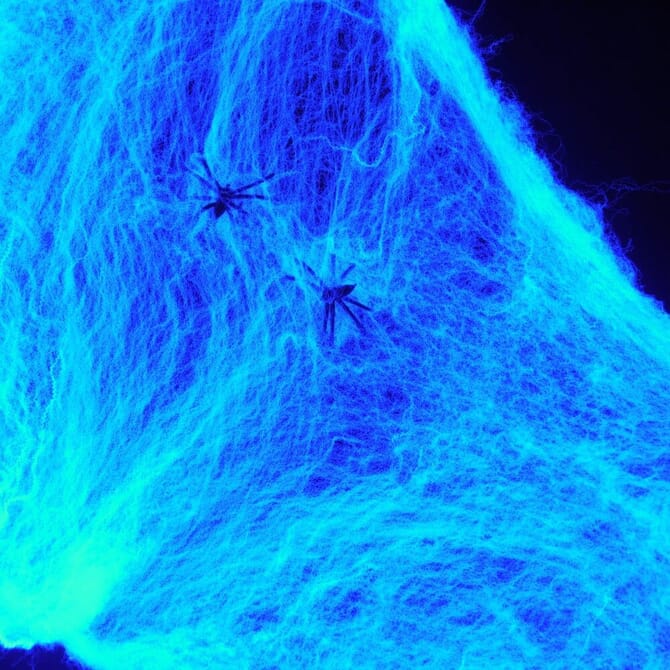 UV blacklight spinnenweb XXL met 5 spinnen